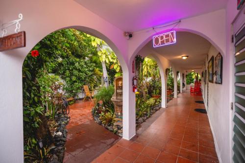 Coconut Palms Inn in Rincon Coconut Palms Inn in Rincon