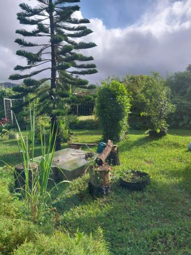 Rootscamp in 벨 옴브레 Rootscamp in 벨 옴브레