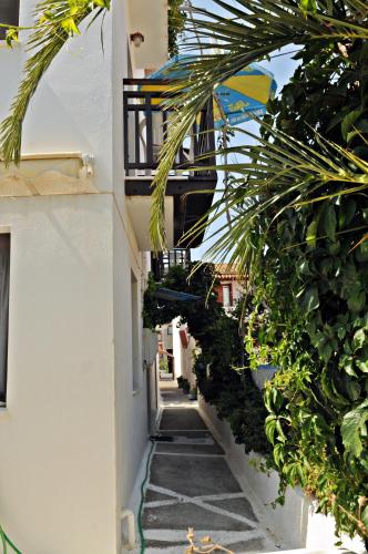ทางเข้า, Dimitris studios in คอกคารี ทางเข้า, Dimitris studios in คอกคารี
