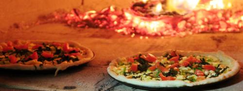 This photo about New Norfolk Junction Motel shared on HyHotel.com