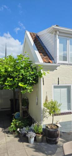 Studio 21 stylish and luxurious apartment in Noordwijk-Binnen Studio 21 stylish and luxurious apartment in Noordwijk-Binnen