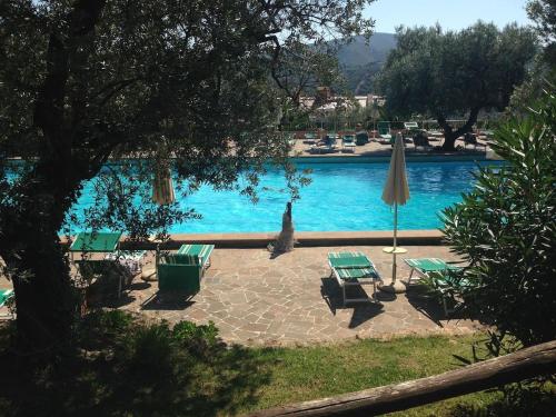 Vườn, Stunning new house with amazing sea view and pool in Porto Santo Stefano Vườn, Stunning new house with amazing sea view and pool in Porto Santo Stefano