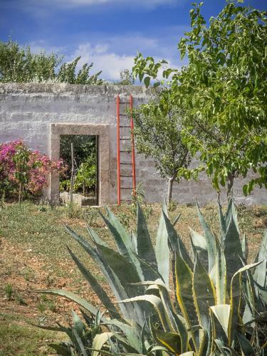 Изглед, Masseria Palombara Grande in Остуни Изглед, Masseria Palombara Grande in Остуни