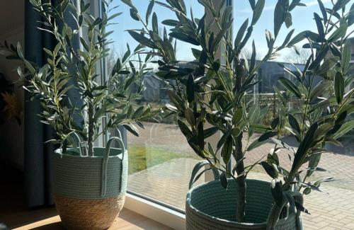 Facilities, Vakantiepark de Zeeuwse Parel - Zeebaars in Tholen Facilities, Vakantiepark de Zeeuwse Parel - Zeebaars in Tholen