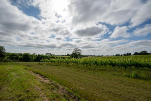 Instalaciones, Glebe Cottage in Tenterden Instalaciones, Glebe Cottage in Tenterden