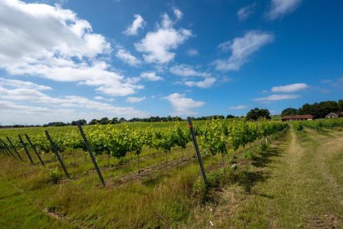 Instalaciones, Glebe Cottage in Tenterden Instalaciones, Glebe Cottage in Tenterden