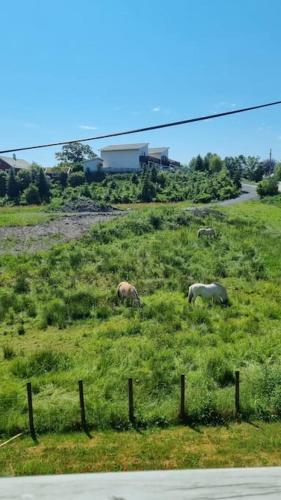 Nyoppusset leilighet nær Aker og sentrum in ستورد Nyoppusset leilighet nær Aker og sentrum in ستورد