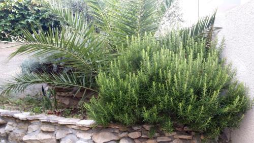 This photo about Villa Sandra Hvar shared on HyHotel.com