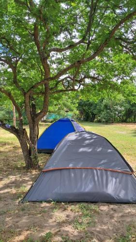 Eco Camping Las Penitas in Las Penitas Eco Camping Las Penitas in Las Penitas