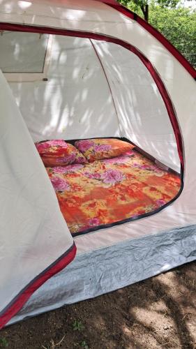 Eco Camping Las Penitas in Las Penitas Eco Camping Las Penitas in Las Penitas