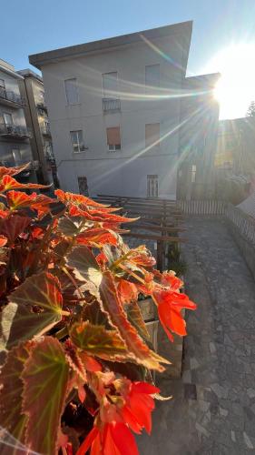 A szálláshely kívülről, Anemoi in Agropoli A szálláshely kívülről, Anemoi in Agropoli