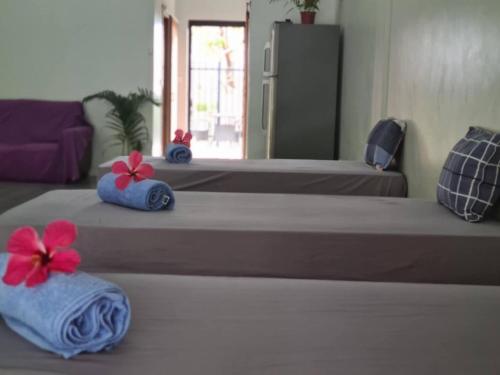 Backpackers in Paradise in Efate Backpackers in Paradise in Efate