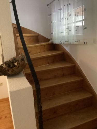 Haus am Bärenkopf (Haus am Barenkopf) in Kalletal Haus am Bärenkopf (Haus am Barenkopf) in Kalletal