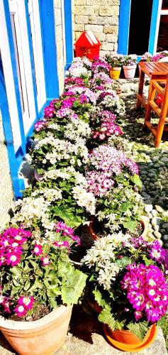 Green Village guest house & hotel in منطقة إفرست - نيبال Green Village guest house & hotel in منطقة إفرست - نيبال