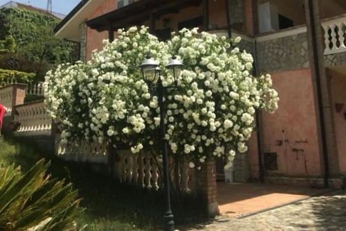 La Quercia in Козенца La Quercia in Козенца