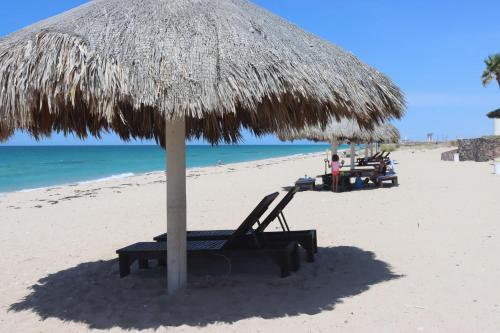 Waves & Relaxation Oceanfront 2BR Family Condo in Playa Encanto Waves & Relaxation Oceanfront 2BR Family Condo in Playa Encanto