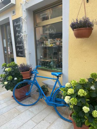 Boomerang - Holiday House with sea view in Dajla Boomerang - Holiday House with sea view in Dajla