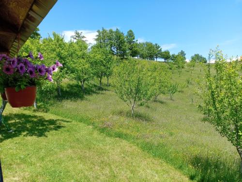 Apartment Pivljanka in Pluzine Apartment Pivljanka in Pluzine