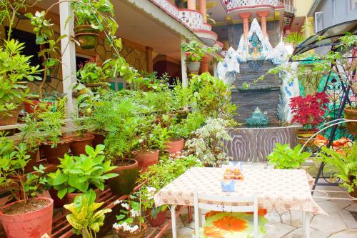 Храна и напитки, Hotel Himalayan Inn in Покхара Храна и напитки, Hotel Himalayan Inn in Покхара