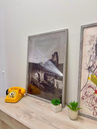 Facilities, Old Lady - Apartment in Reggio Calabria Facilities, Old Lady - Apartment in Reggio Calabria