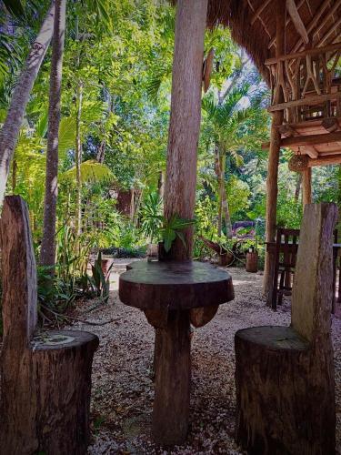 Casa Mango in Macario Gomez Casa Mango in Macario Gomez