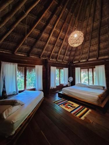 Casa Mango in Macario Gomez Casa Mango in Macario Gomez