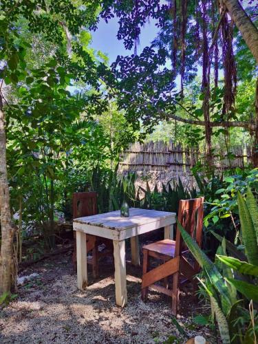 Casa Mango in Macario Gomez Casa Mango in Macario Gomez