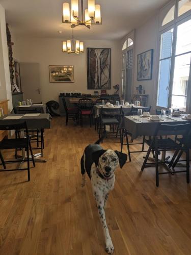 Comida y bebida, Trianon in Vichy Comida y bebida, Trianon in Vichy