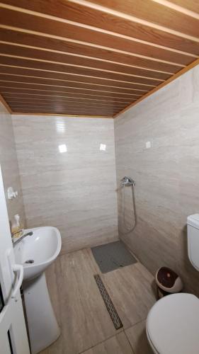 Cabana Lir in อาราด Cabana Lir in อาราด