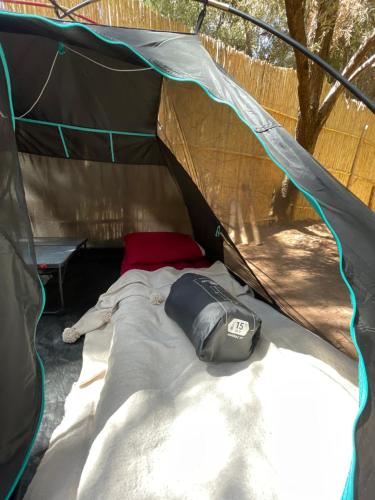 Afra Camp -- Paradise Valley in 阿克斯里 Afra Camp -- Paradise Valley in 阿克斯里