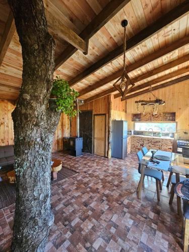 Tierra de Volcanes in Curacautin Tierra de Volcanes in Curacautin