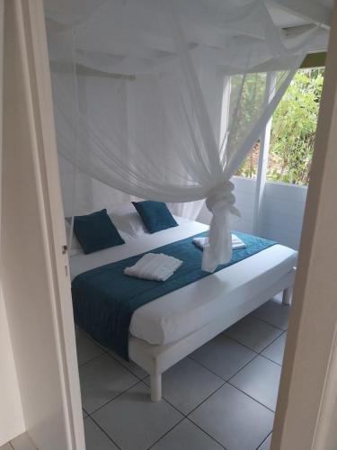 ALAMANDA le grand palm in Grand-Bourg ALAMANDA le grand palm in Grand-Bourg