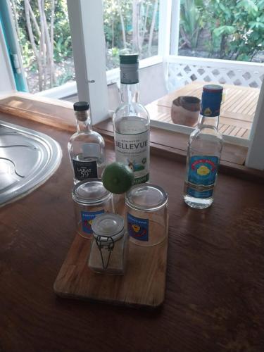 ALAMANDA le grand palm in Grand-Bourg ALAMANDA le grand palm in Grand-Bourg