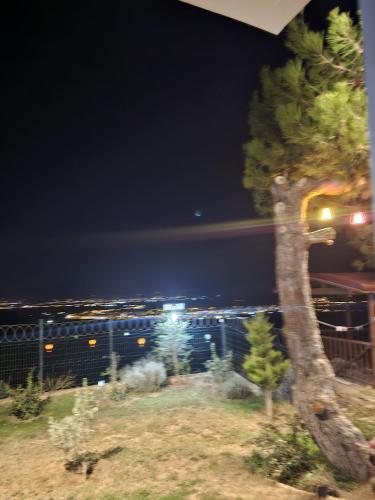 Kocadag in Bostanci Kocadag in Bostanci