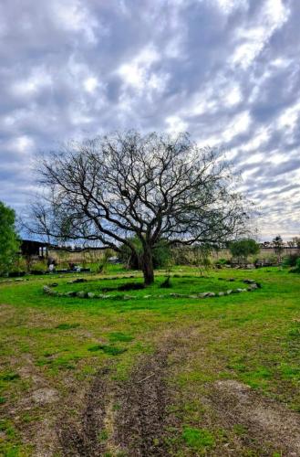 Tierra Magica in Brandsen Tierra Magica in Brandsen