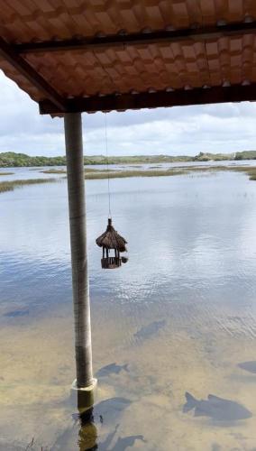 Surrounding environment, Paraiso da Lagoa in Estância Surrounding environment, Paraiso da Lagoa in Estância