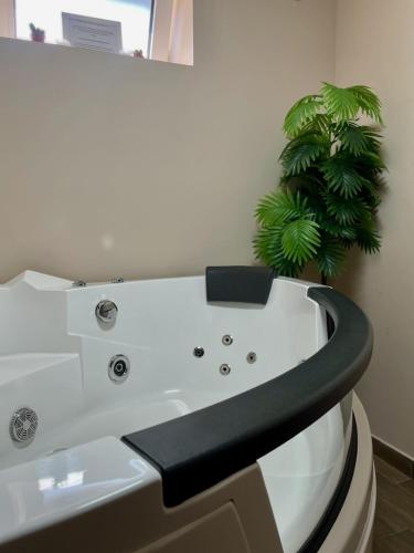 Pezsgőfürdő, Jacuzzi Apartman PK Pančevo (Jacuzzi Apartman PK Pancevo) in Center Pezsgőfürdő, Jacuzzi Apartman PK Pančevo (Jacuzzi Apartman PK Pancevo) in Center