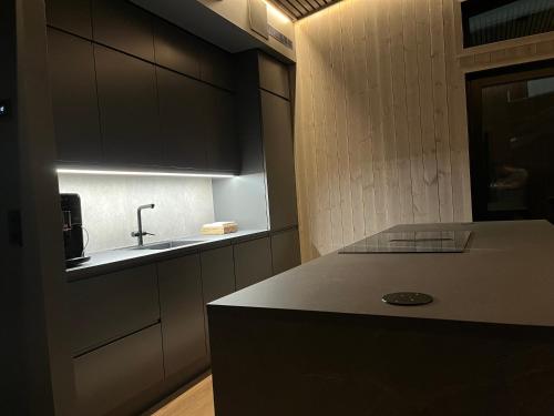 廚房, Brand new house close 2 Skiresort in 漢斯道爾 廚房, Brand new house close 2 Skiresort in 漢斯道爾