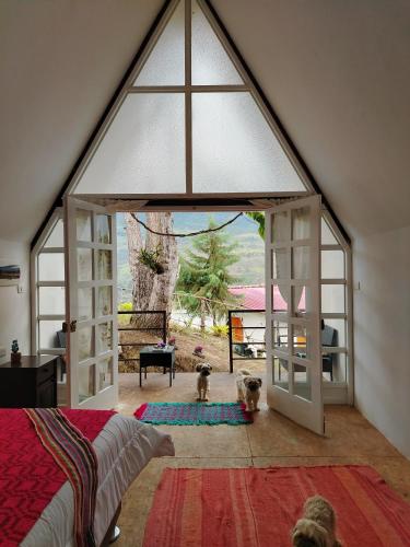 Valle Yumbilla Yacu in Cuispes Valle Yumbilla Yacu in Cuispes