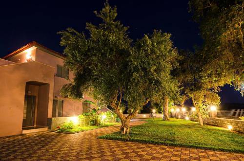 Kert, Hotel Sias Resort in Agios Avgoustinos Kert, Hotel Sias Resort in Agios Avgoustinos