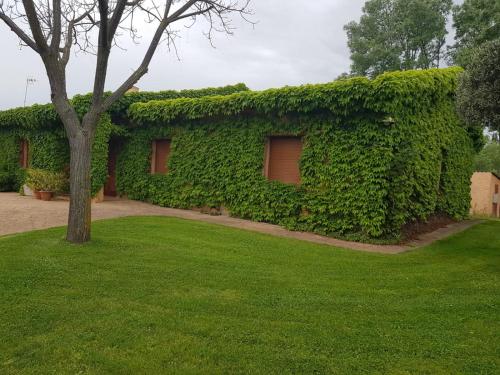 Complejo rural la Badia in Cazalegas Complejo rural la Badia in Cazalegas