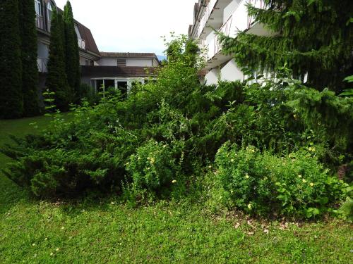Garden, Exclusive Holiday Apartments in Warmbad Villach Garden, Exclusive Holiday Apartments in Warmbad Villach