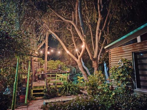 Cabañas y Hostal Karibe (Cabanas y Hostal Karibe) in Πιτσιλεμου Cabañas y Hostal Karibe (Cabanas y Hostal Karibe) in Πιτσιλεμου