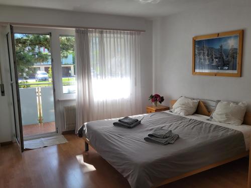 Appartement Cosy in Martigny Appartement Cosy in Martigny