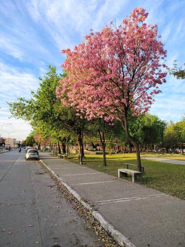 Depto Tucumán (Depto Tucuman) in 돈 보스코 Depto Tucumán (Depto Tucuman) in 돈 보스코