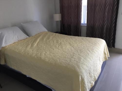 在meiguo.com看到的Pelican By The Sea的介绍图片