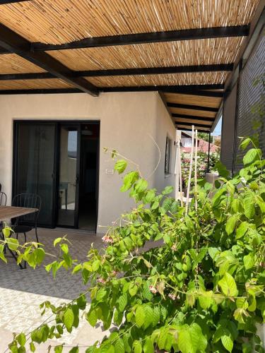 Tirza's Place in Livnim Tirza's Place in Livnim