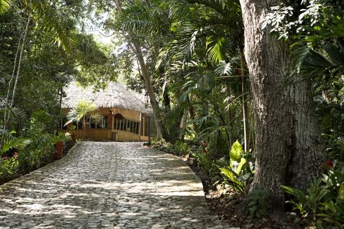 大堂, 蒂卡爾叢林小屋酒店 (Hotel Jungle Lodge Tikal) in 蒂卡爾 大堂, 蒂卡爾叢林小屋酒店 (Hotel Jungle Lodge Tikal) in 蒂卡爾