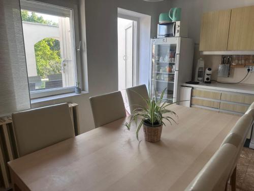 Konyha, Dom pod mirabelkou - Mirabell ház (Dom pod mirabelkou - Mirabell haz) in Lipót Konyha, Dom pod mirabelkou - Mirabell ház (Dom pod mirabelkou - Mirabell haz) in Lipót