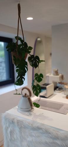 Ma Bergerie in 布諾尼 Ma Bergerie in 布諾尼